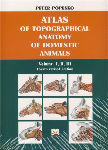 ATLAS OF TOPOGRAPHICAL ANATOMY OF DOMESTIC ANIMALS