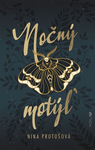 NOCNY MOTYL.